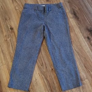 Ann Taylor Loft Capri